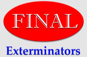 finalexterminators-logo