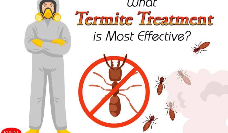 What Termite Treatment is Most Effective?