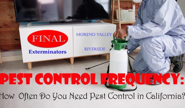 How Often Do You Need Pest Control in California?