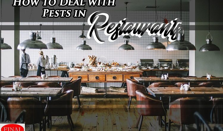 How to Deal with Pests in Restaurants